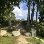 Pradedama Tvarkyti Pritaikyti Lankytojams / Nuotrauka: sc.bns.lt